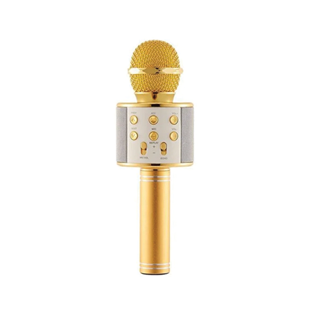 Torima WS 858 Karaoke Mikrofonu