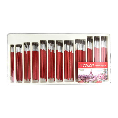 Color 120'li Sulu Boya Fırça Seti
