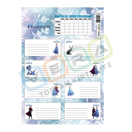 Frozen Ders Programlı 3'lü Blister Okul Etiketi