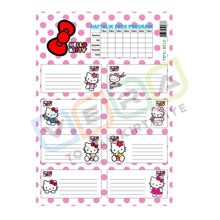 Hello Kitty Ders Programlı 3'lü Blister Okul Etiketi
