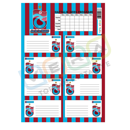 TS Ders Programlı 3'lü Blister Okul Etiketi