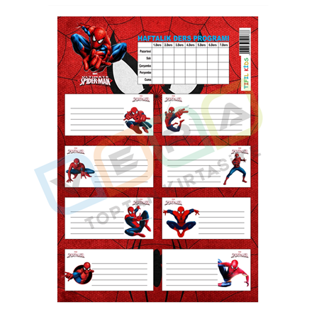 SpiderMan Ders Programlı 3'lü Blister Okul Etiketi